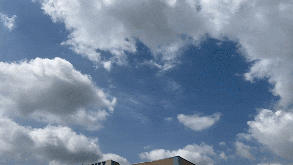 Lead City University